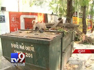 Clean India: Surat suburbs taking on a stink due to 'Garbage Empire' - Tv9 Gujarati