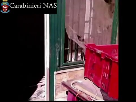 Bari - Pane e focacce con insetti e ruggine, chiuso panificio (02.10.14)