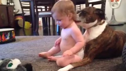 Une véritable histoire d'amour entre ce bébé et ce chien