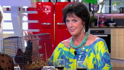 Une poule naine pour Anny Duperey - C à vous - 02/10/2014