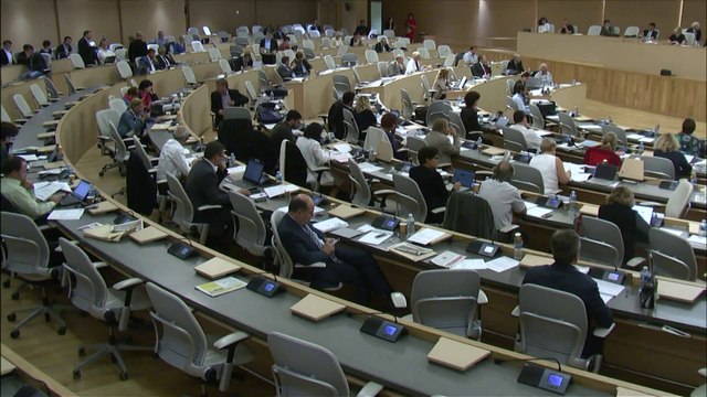 Voeu billets TER - Eliane GIRAUD