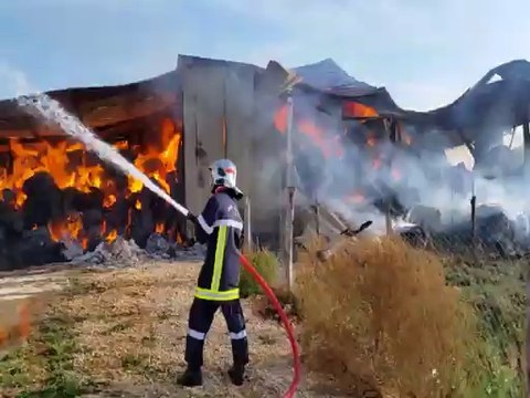 Haute-Saône : le feu à la ferme des Aubracs