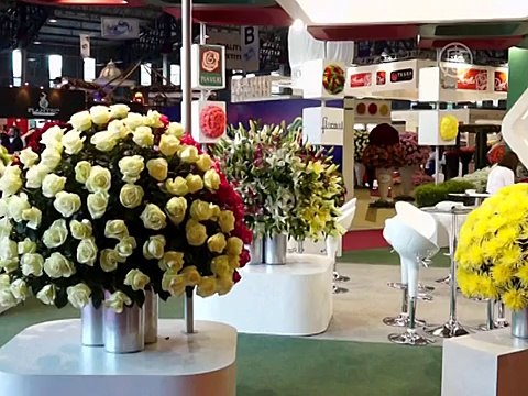 Трёхцветные розы показали на выставке в Эквадоре