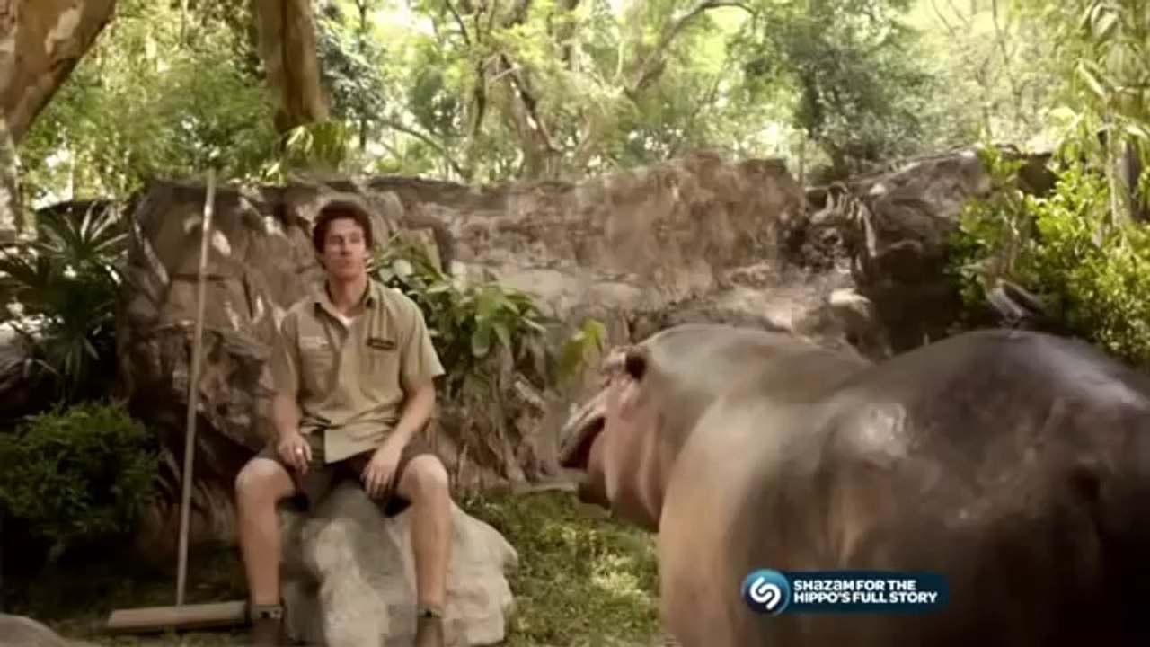 pub kitkat hippo bitbox