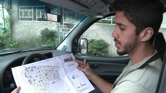 Brésil: lâcher de moustiques vaccinés contre la dengue à Rio