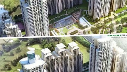 Saviour Green Arch@9873115093