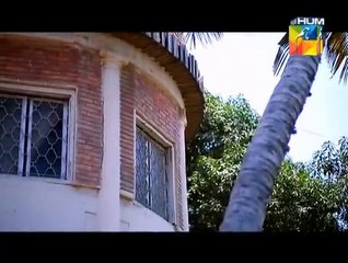 Mausam Last Episode Part 2