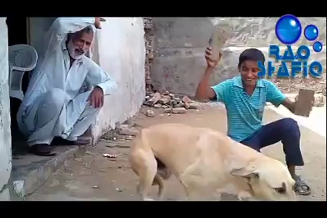 ye tu had hi hu gyhi go nawaz go
