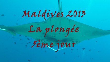 Shooting aux Maldives - Jour 5
