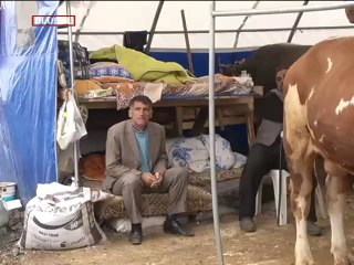 Ulusal Kanal ekibi hayvan pazarlarının nabzını tuttu