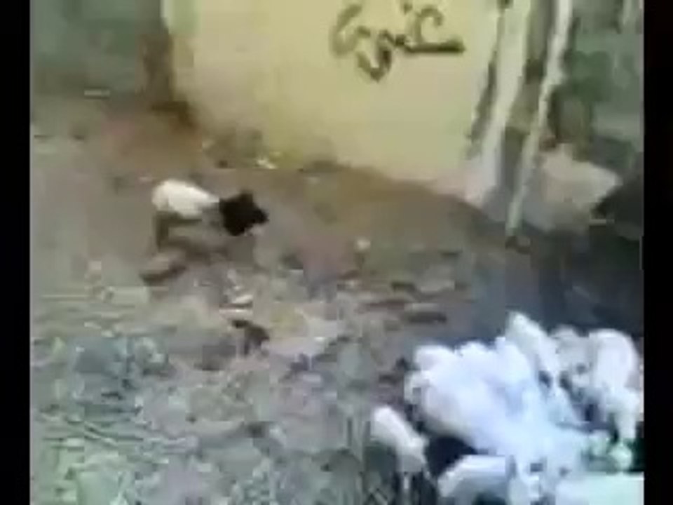 Horror Bakra