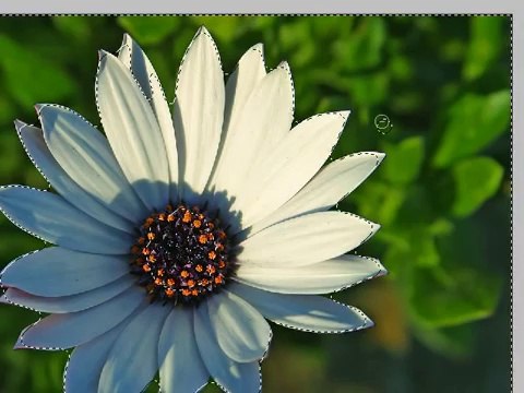 Photoshop Tutorial - 9 - Magic Wand and Quick Selection Tools