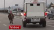 Bursa'da Polis-boğa Kovalamacası