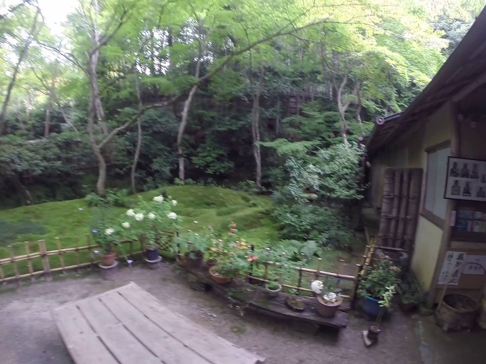 Gio-ji: moss garden