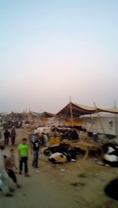 gaaye mandi