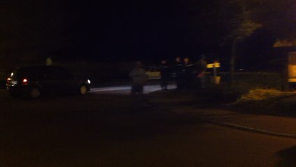 Conseil communautaire de l'IBV