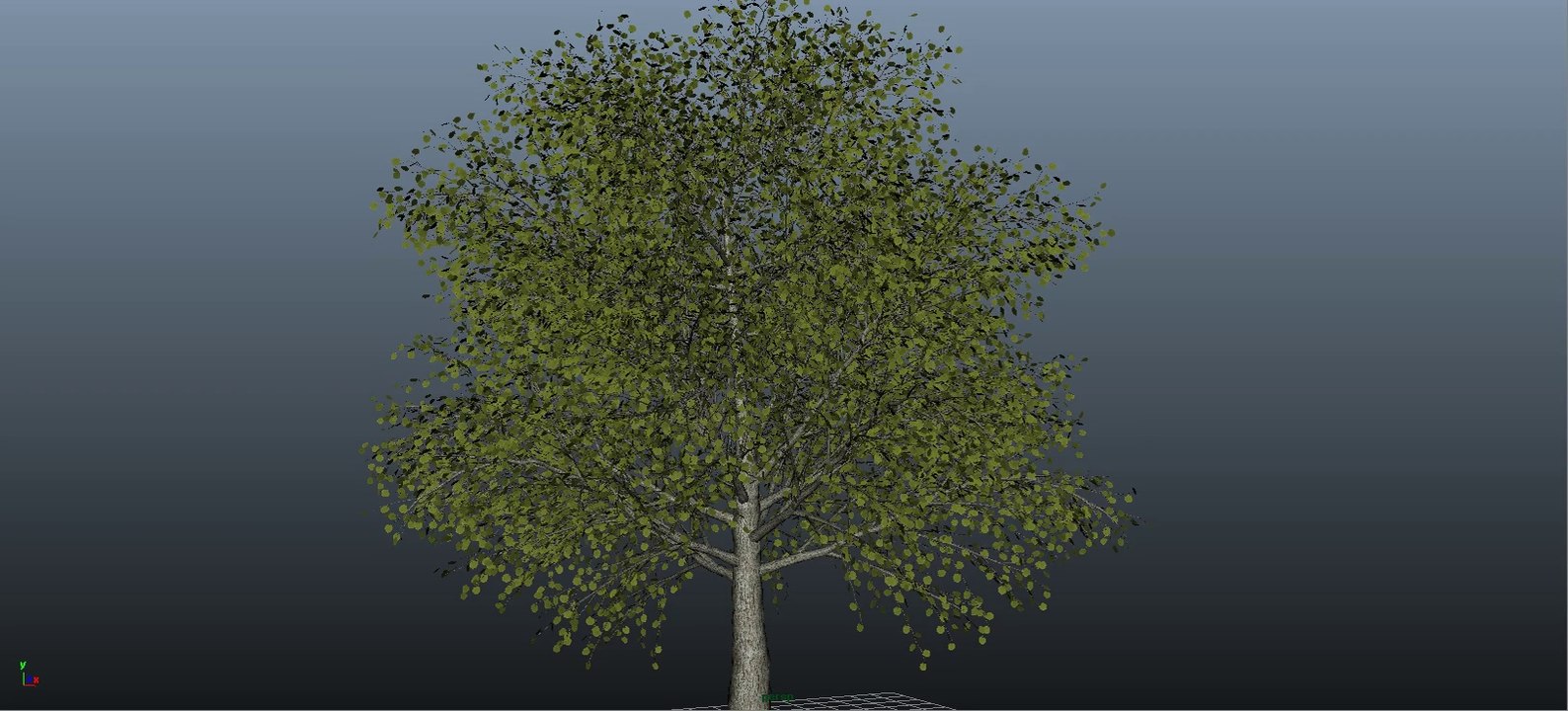 Test Movimiento Arbol