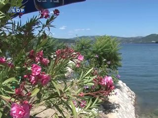 Navigator, 03. oktobar 2014. (RTV Bor)