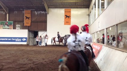 carrousel poney pirates