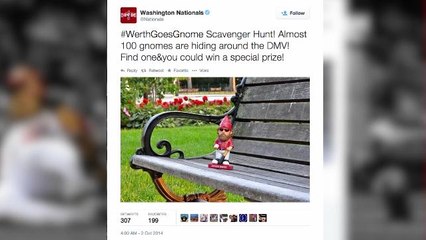 Washington Nationals Head To Playoffs With Gnome Hunt