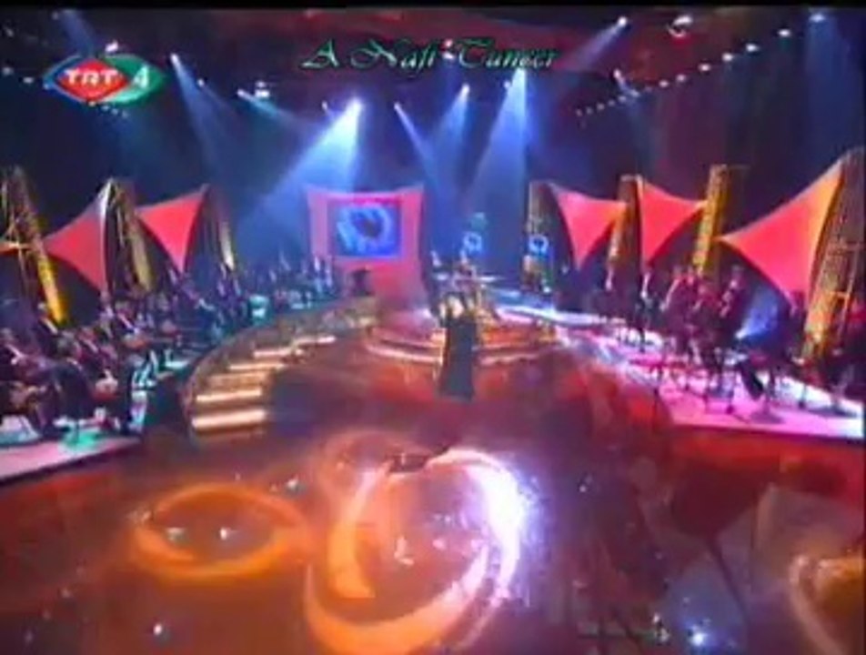 Nursaç DOĞANIŞIK *Sen Gelmez Oldun* (2)