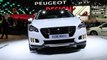 Vidéo Peugeot 508 RXH au Mondial de l'Automobile 2014 - L'argus