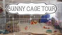 Bunny Cage tour