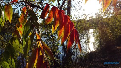 Galaxy Alpha Review  It's Amazing What A Little Metal Can Do