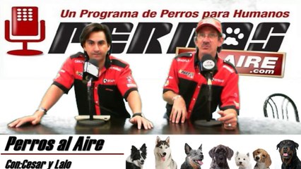 PERROS AL AIRE 20 DE SEP DEL 2014 1a PARTE