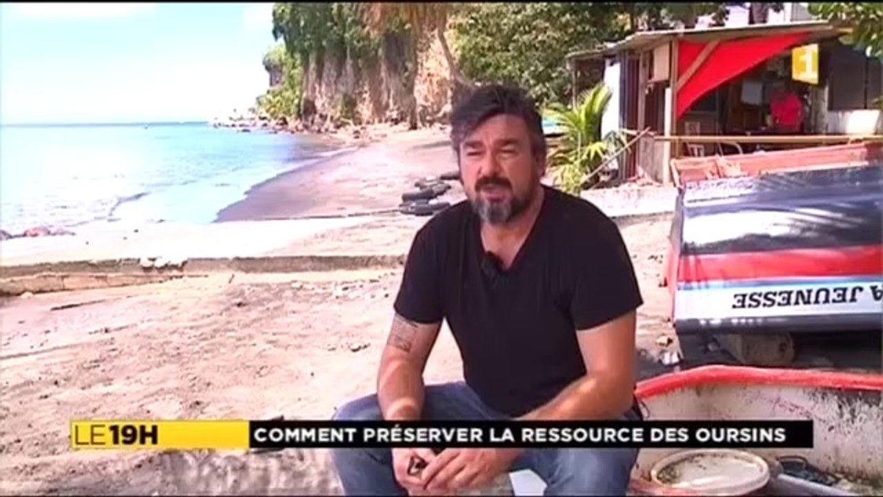 oursins : ouverture de la pêche