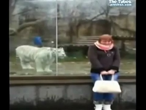 Funny Videos, Don_#8217;t turn around Hahahahaha