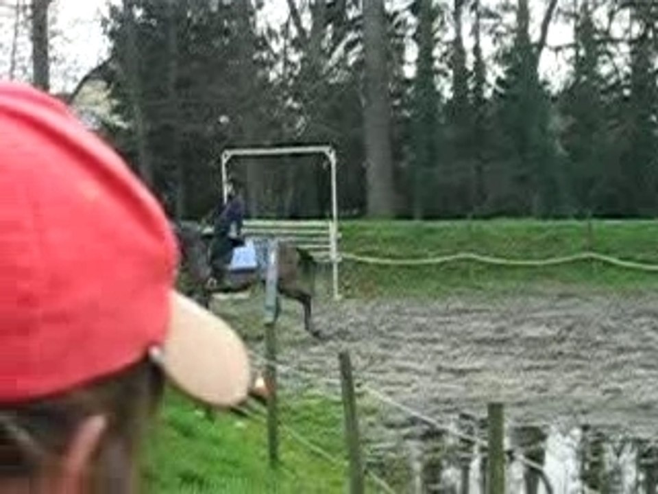 Mantarez saut  oxer