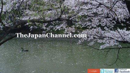 Old Japanese Abacus!