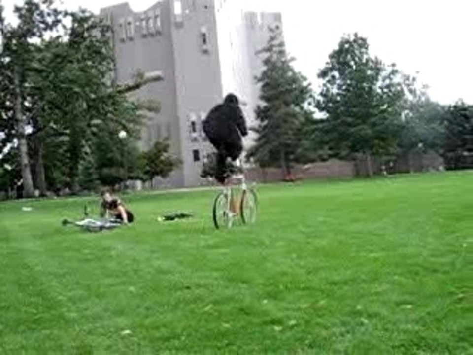 Gorille sur un tallbike