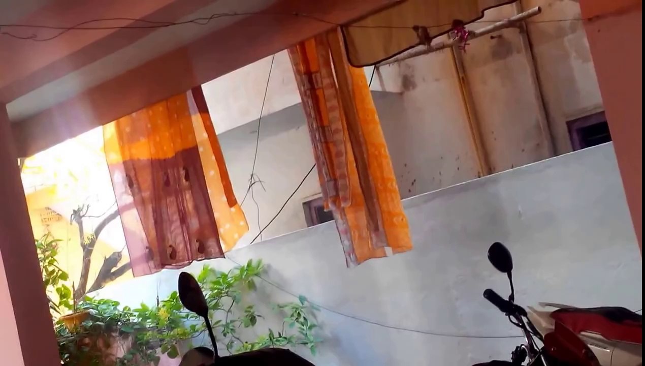 CrazyAnd Funny Monkeys Must Watch................!!!!!!!!!