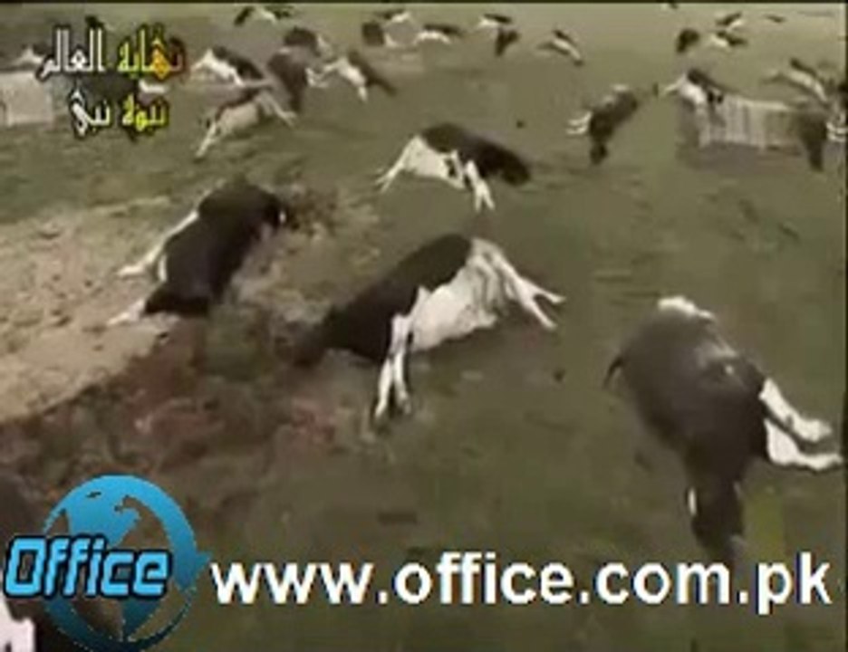 A video that reflects the Scenes of the day of Judgement