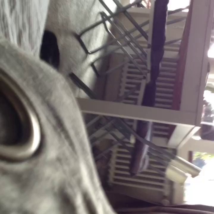 Cat's attact