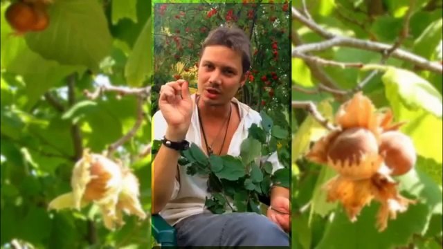 Обереги для дома.Как сделать ОБЕРЕГ для ДОМА на ОРЕХОВЫЙ СПАС