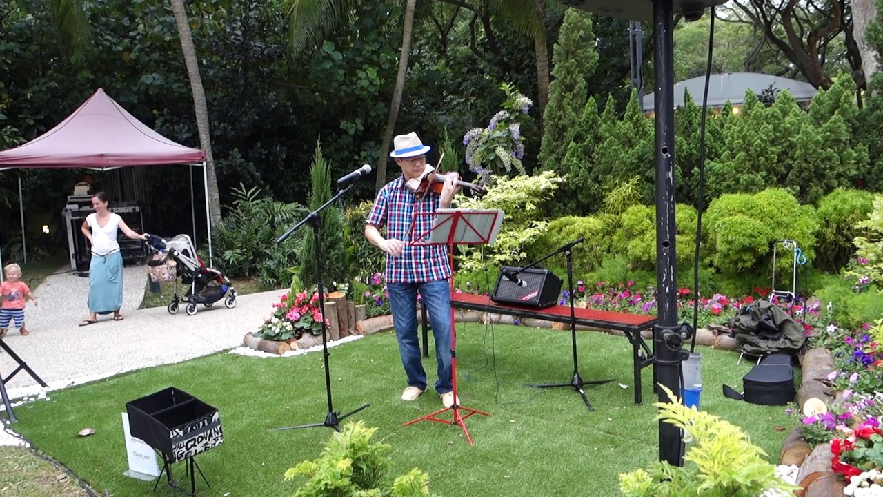 [Sony RX100 III] Michael Jackson Medley by Violinist Dan @ Sentosa Buskers Festival 2014