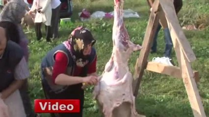 Kadın Kasaplar, Erkekleri Aratmadı