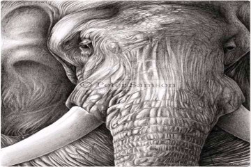 Drawing Animals In Pencil Review