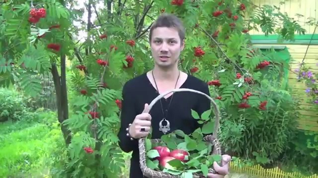 Как привлечь счастье Как привлечь счастье в свою жизнь на Яблочный спас