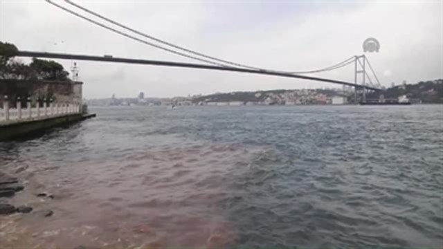 Kurban Bayramı - Kurban Kanı Boğaza Aktı