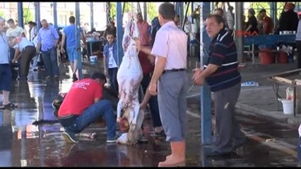 Antalya Turizm Kenti Antalya'dan Kurban Manzaraları