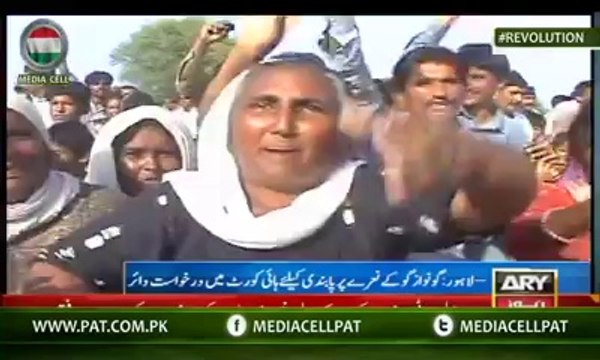 گو نواز گو پر اے آر وائی نیوز کی شاندار رپورٹ ‬