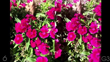 iPhone 6 vs LG G3 - Ultimate Camera Comparison