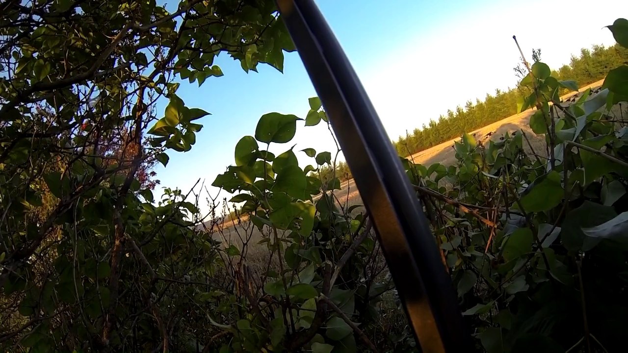 Chasse Canard et Outarde 27 Septembre 2014