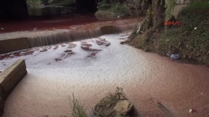 Safran Deresi Kırmızı Oldu