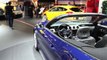 Vidéo Ford Mustang au Mondial de l'Automobile 2014 - L'argus
