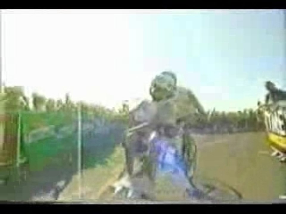 Triatlon Padre - hijo